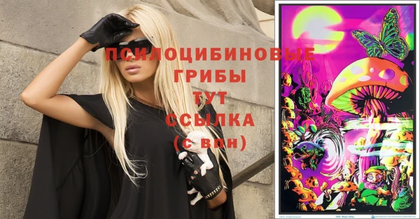 spice Алексеевка