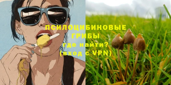 гидра Алзамай