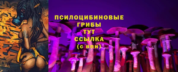 крисы Абаза