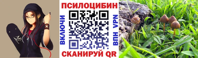 Галлюциногенные грибы прущие грибы  наркотики  Грязи 